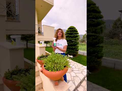 Σε ενοχλεί η γάτα ή ο σκύλος του γείτονα; Εκπαίδευση  κατοικιδίων με φυσικό τρόπο!